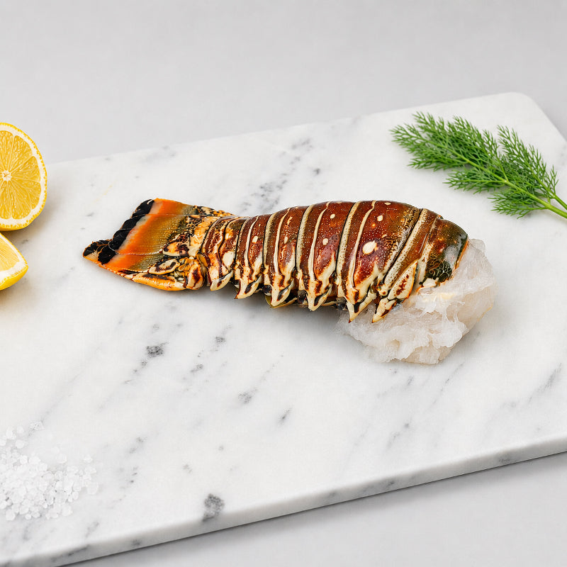 Wild Giant Caribbean Lobster Tail